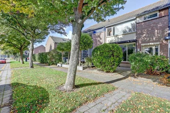 Foto 2 van Meeuwenlaan 11