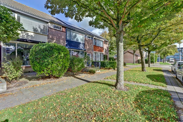 Foto 3 van Meeuwenlaan 11