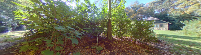 View 360° photo of Tuin of Zandstraat 31