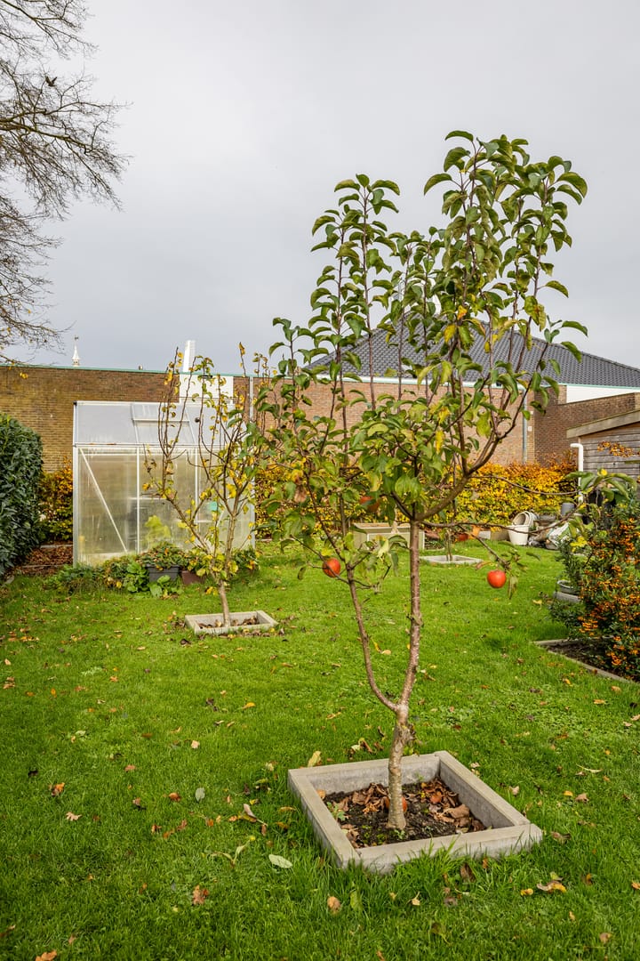 Foto 17 van Julianastraat 11