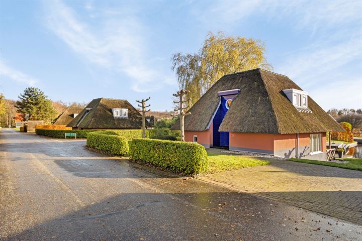 View photo 6 of De Bloemert 1-231