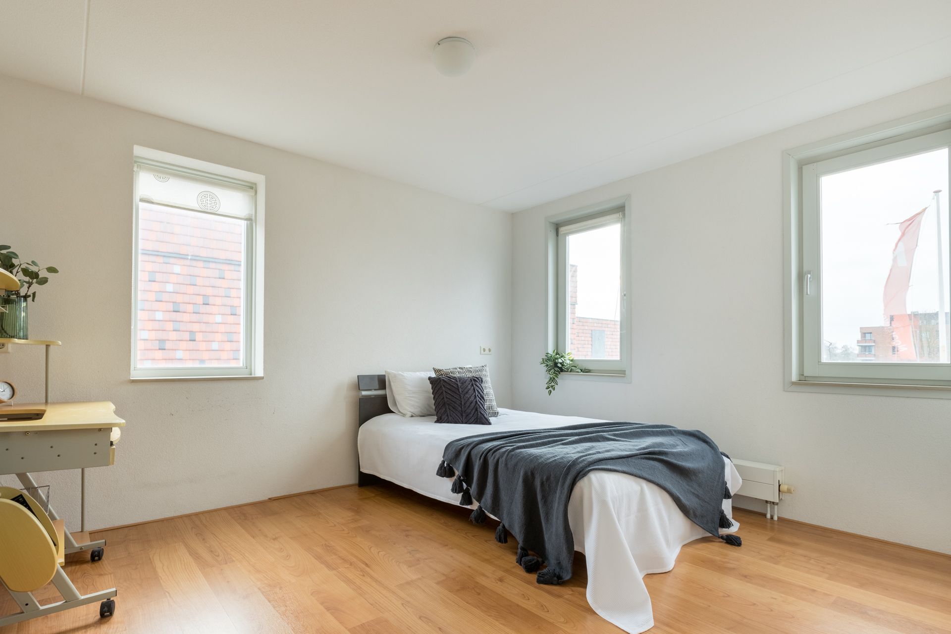 Photo 12 of De Sonnavillestraat 22