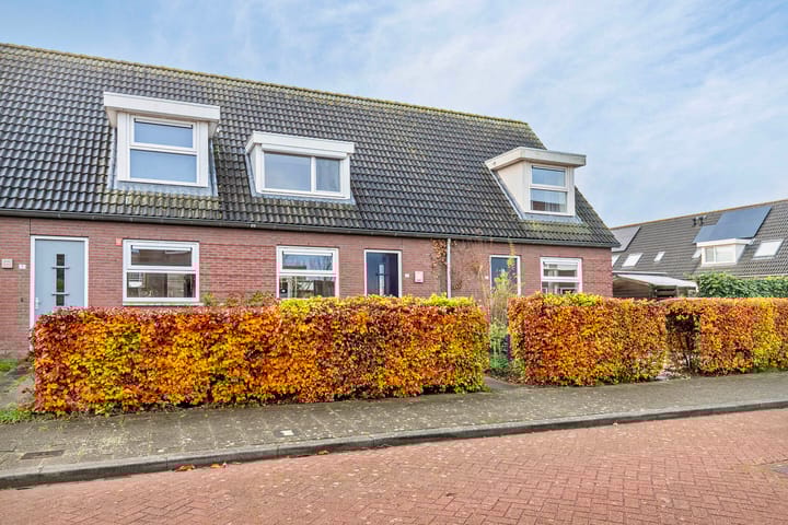 Foto 9 van Diamantslijper 13