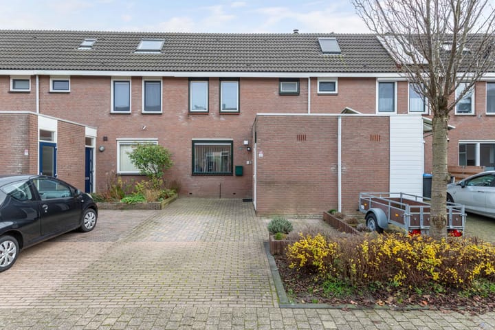 Foto 1 van Botter 42 9