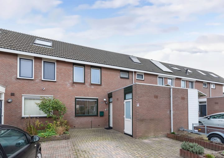 Foto 4 van Botter 42 9