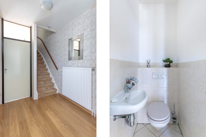 Foto 6 van Botter 42 9