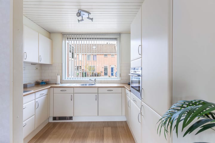 Foto 11 van Botter 42 9