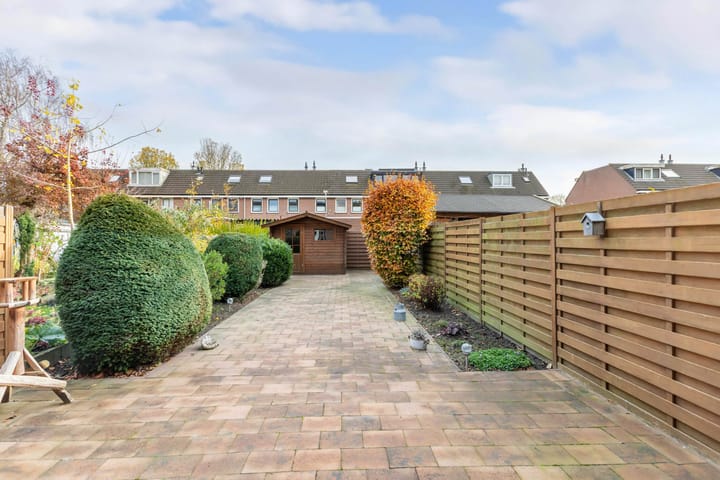 Foto 15 van Botter 42 9