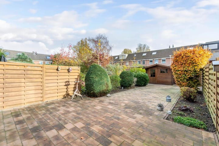 Foto 16 van Botter 42 9