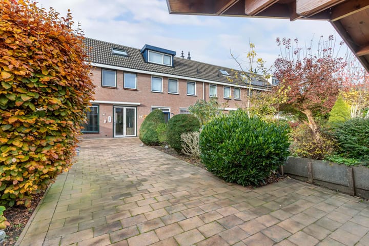 Foto 17 van Botter 42 9