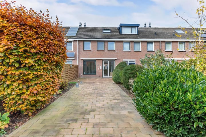 Foto 19 van Botter 42 9