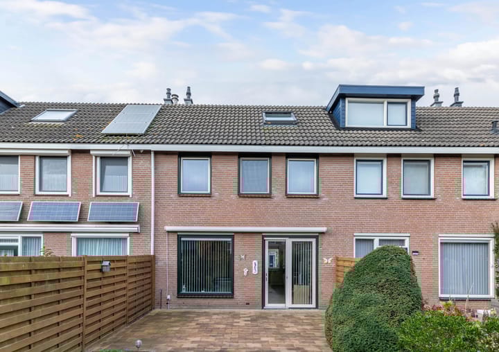 Foto 20 van Botter 42 9