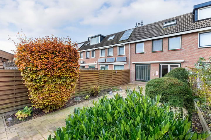 Foto 18 van Botter 42 9