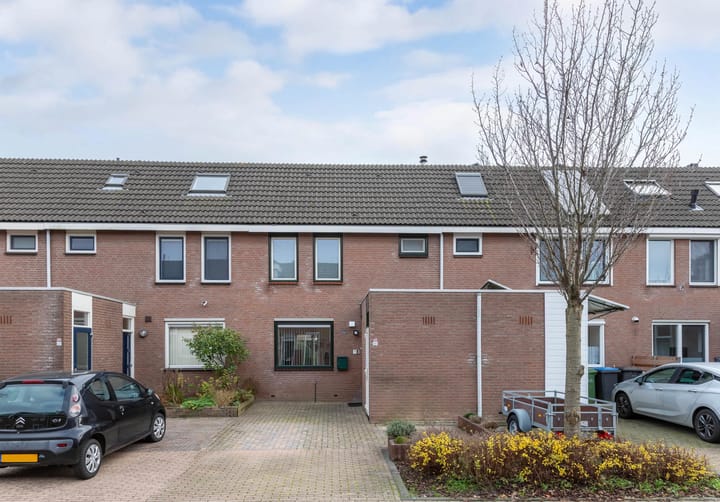 Foto 31 van Botter 42 9