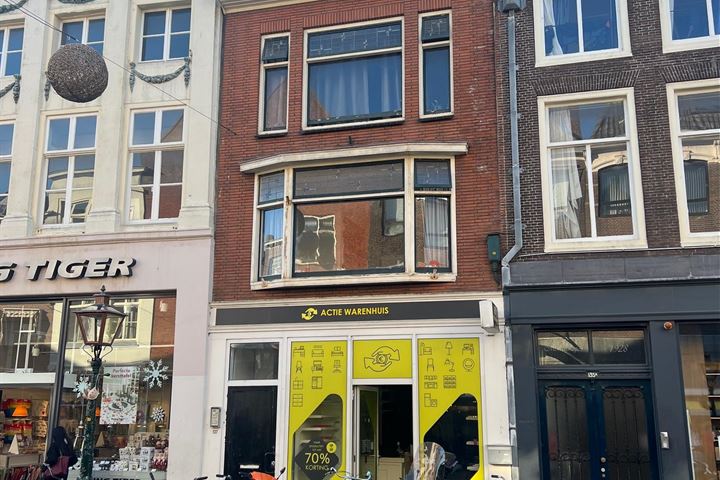 View photo 9 of Breestraat 137