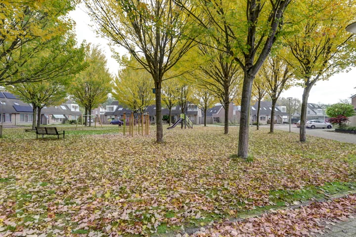 Foto 37 van Hakselaar 36