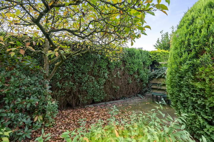 Foto 28 van Anna Bijnsring 246