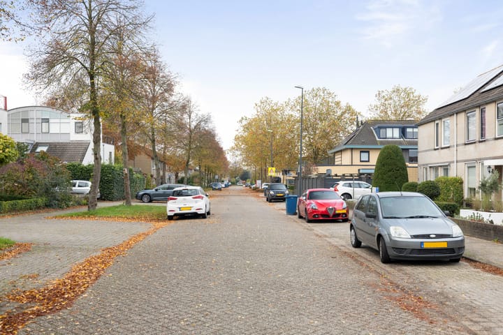 Foto 31 van Anna Bijnsring 246