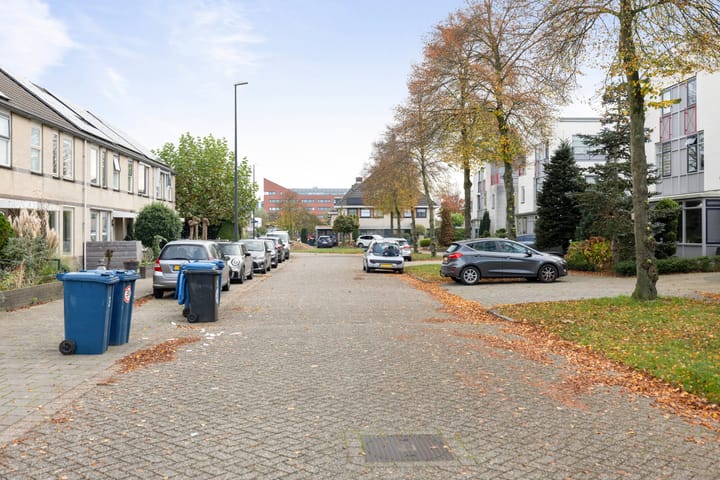 Foto 32 van Anna Bijnsring 246