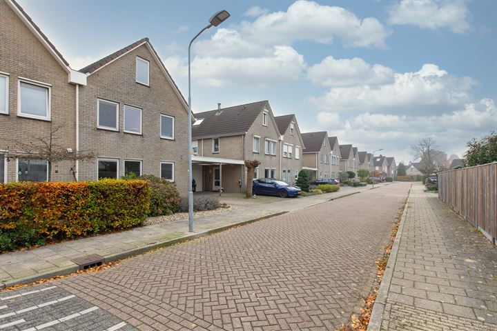 Bekijk foto 57 van Vleugelstraat 19