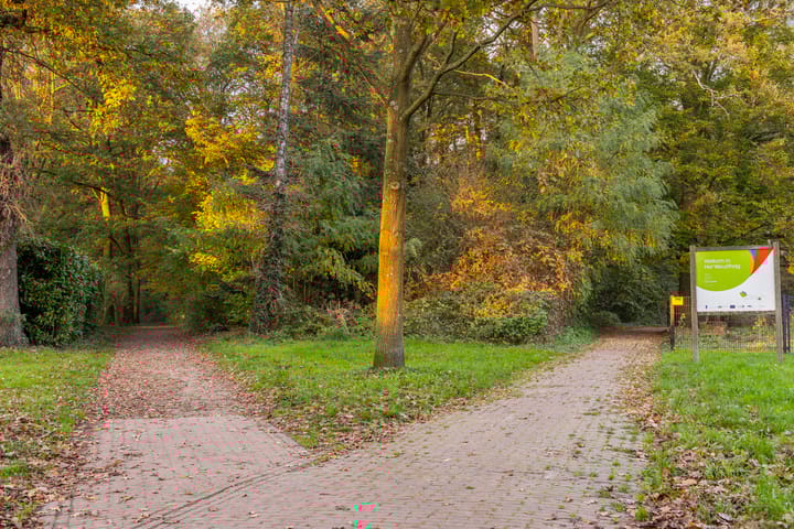 Foto 37 van Floris Versterstraat 35