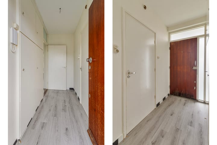 Photo 6 of Robertaland 42