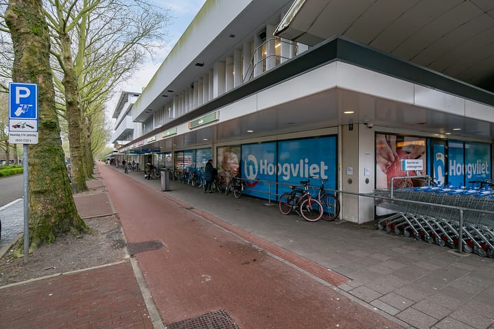 Photo 17 of Robertaland 42