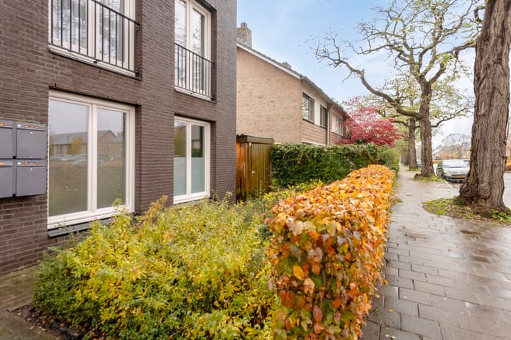 Foto 9 van Pieter Zeemanstraat 1-21