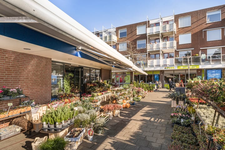 Foto 29 van Nicolaas Arie van der Burgsingel 10