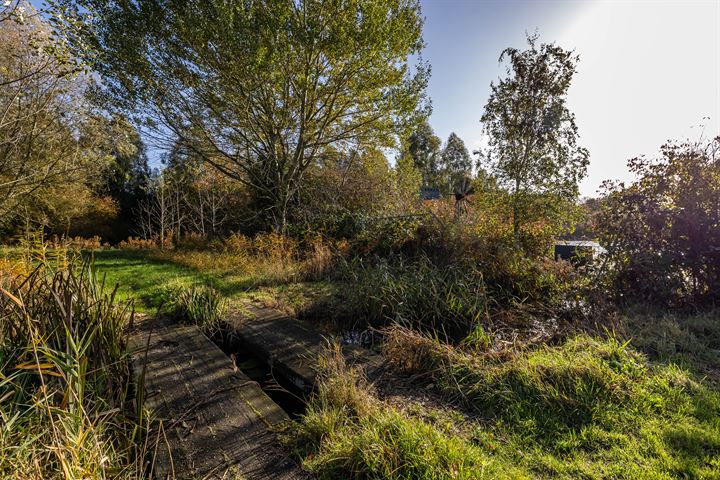 Bekijk foto 46 van Speenkruidstraat 246