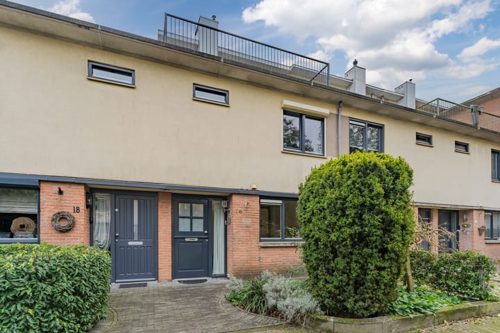 Foto 1 van Kransvederkruid 16