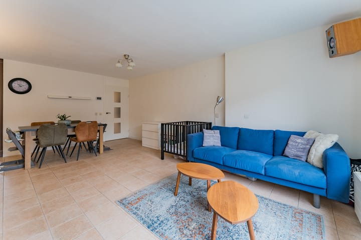 Foto 3 van Kransvederkruid 16