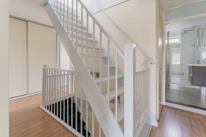 Foto 19 van Kransvederkruid 16