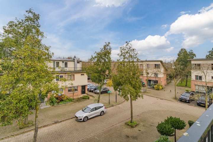 Foto 30 van Kransvederkruid 16