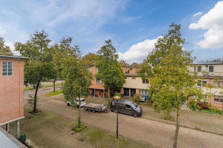 Foto 31 van Kransvederkruid 16