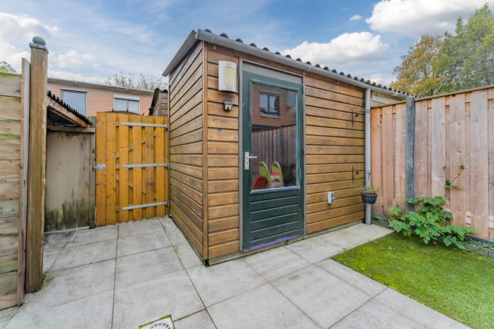 Foto 32 van Kransvederkruid 16