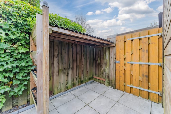 Foto 33 van Kransvederkruid 16