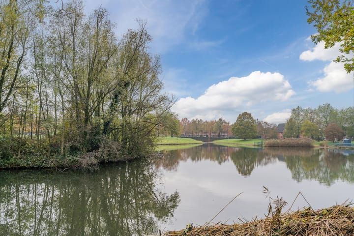 Foto 37 van Kransvederkruid 16