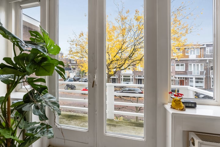 Bekijk foto 47 van Pijnboomstraat 81