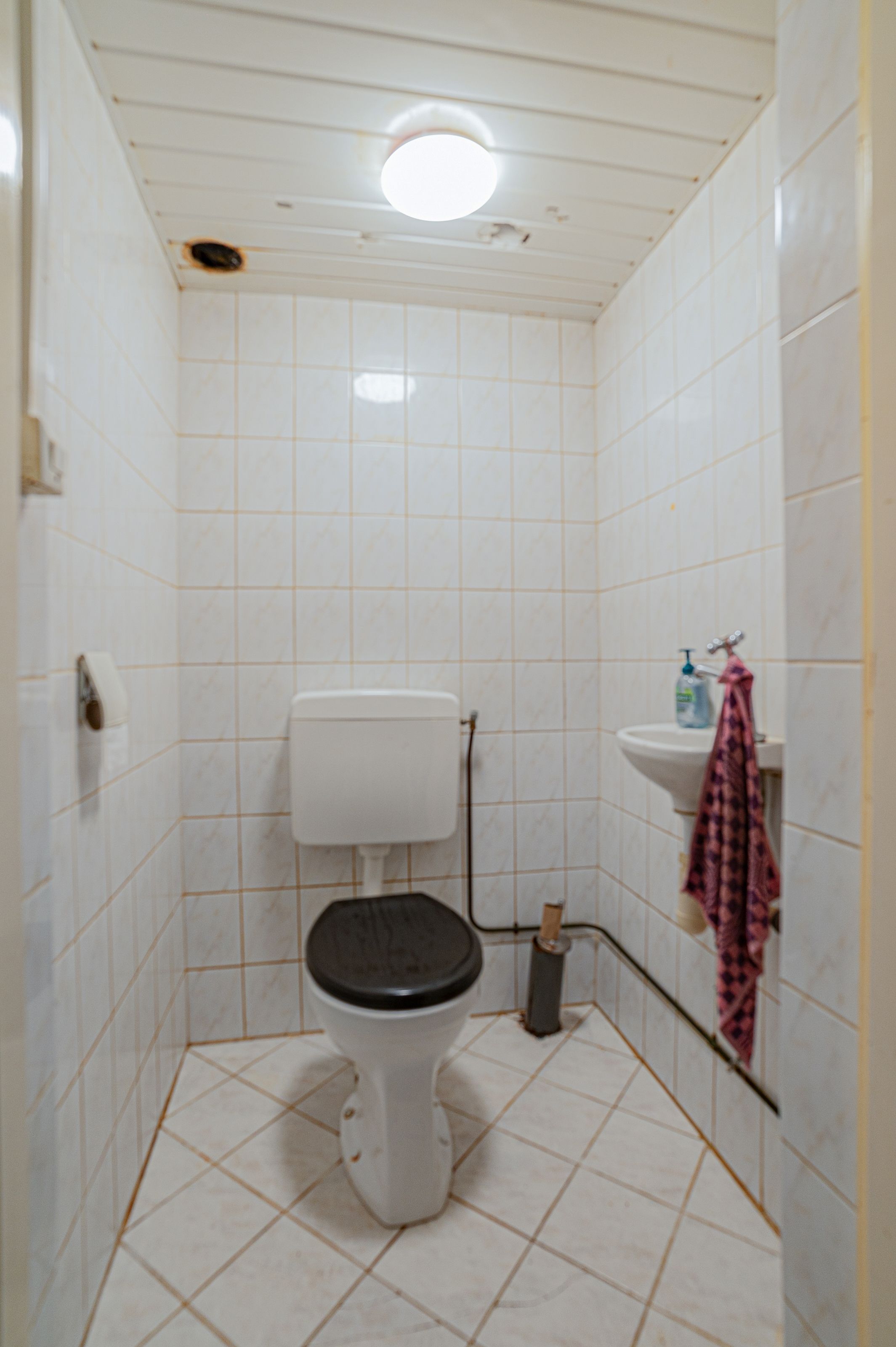 Foto 15 van Blijhamsterweg 17