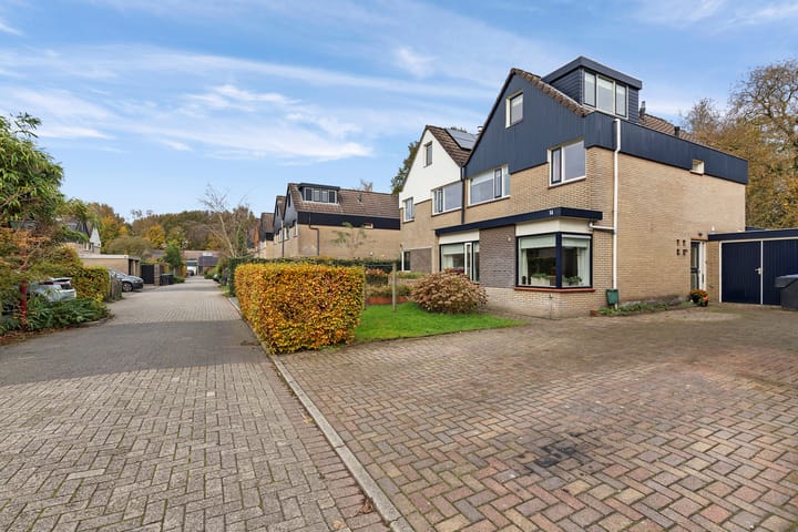 Foto 1 van Eendenkooi 14