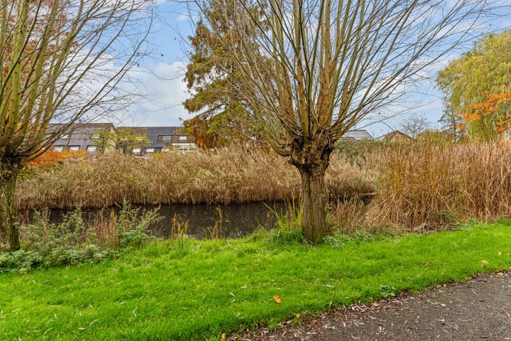 Foto 50 van Watermolen 63