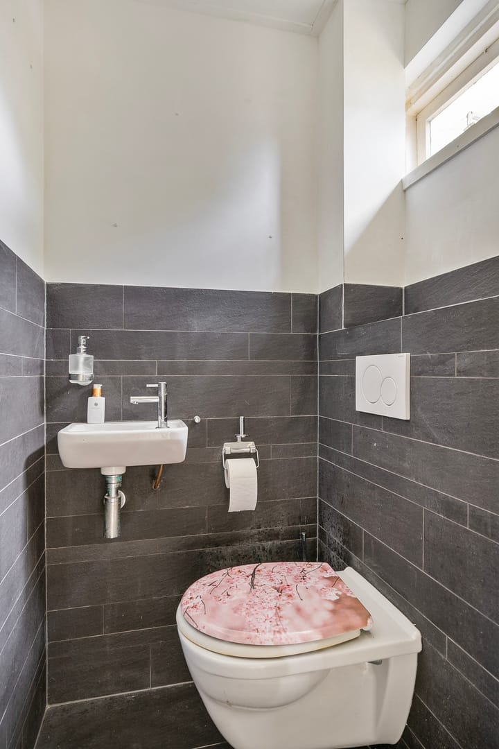 Foto 11 van Tolhuis 3229