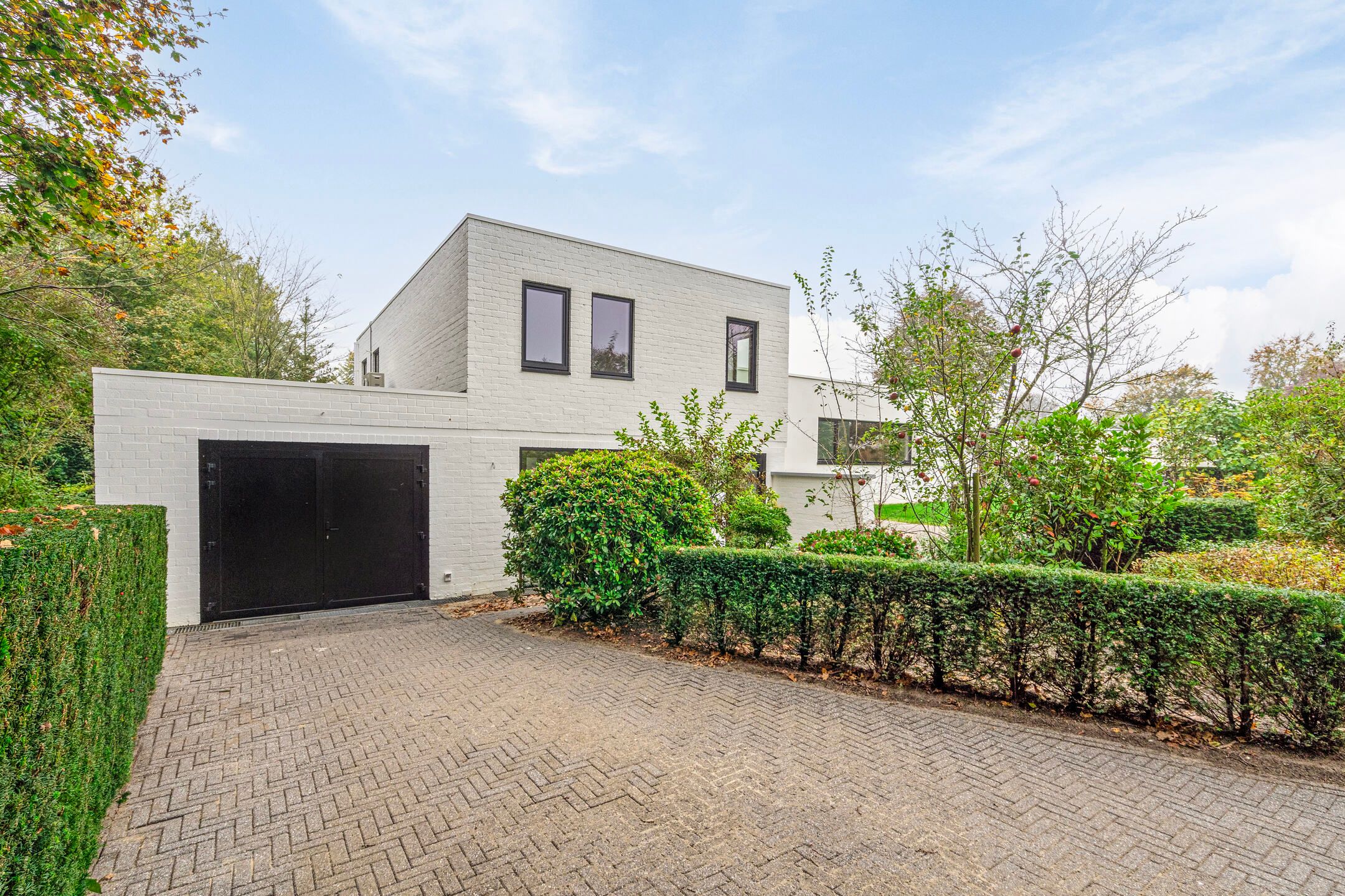 Photo 3 of den Daal 16