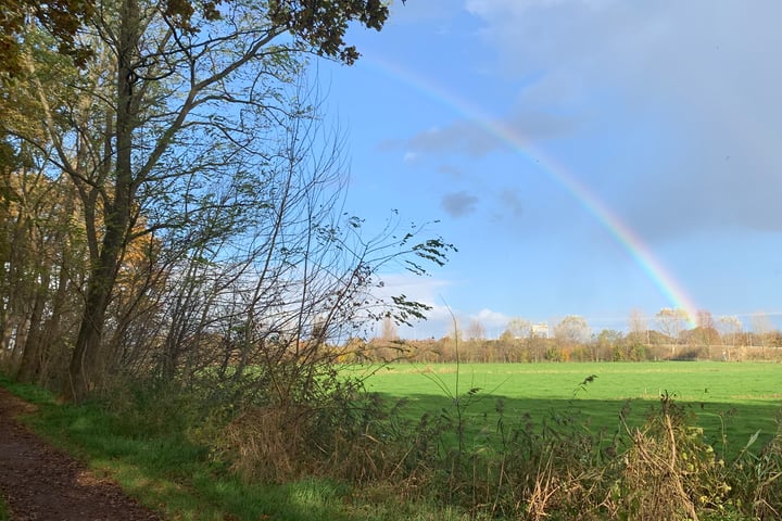 Bekijk foto 7 van Beemdweg