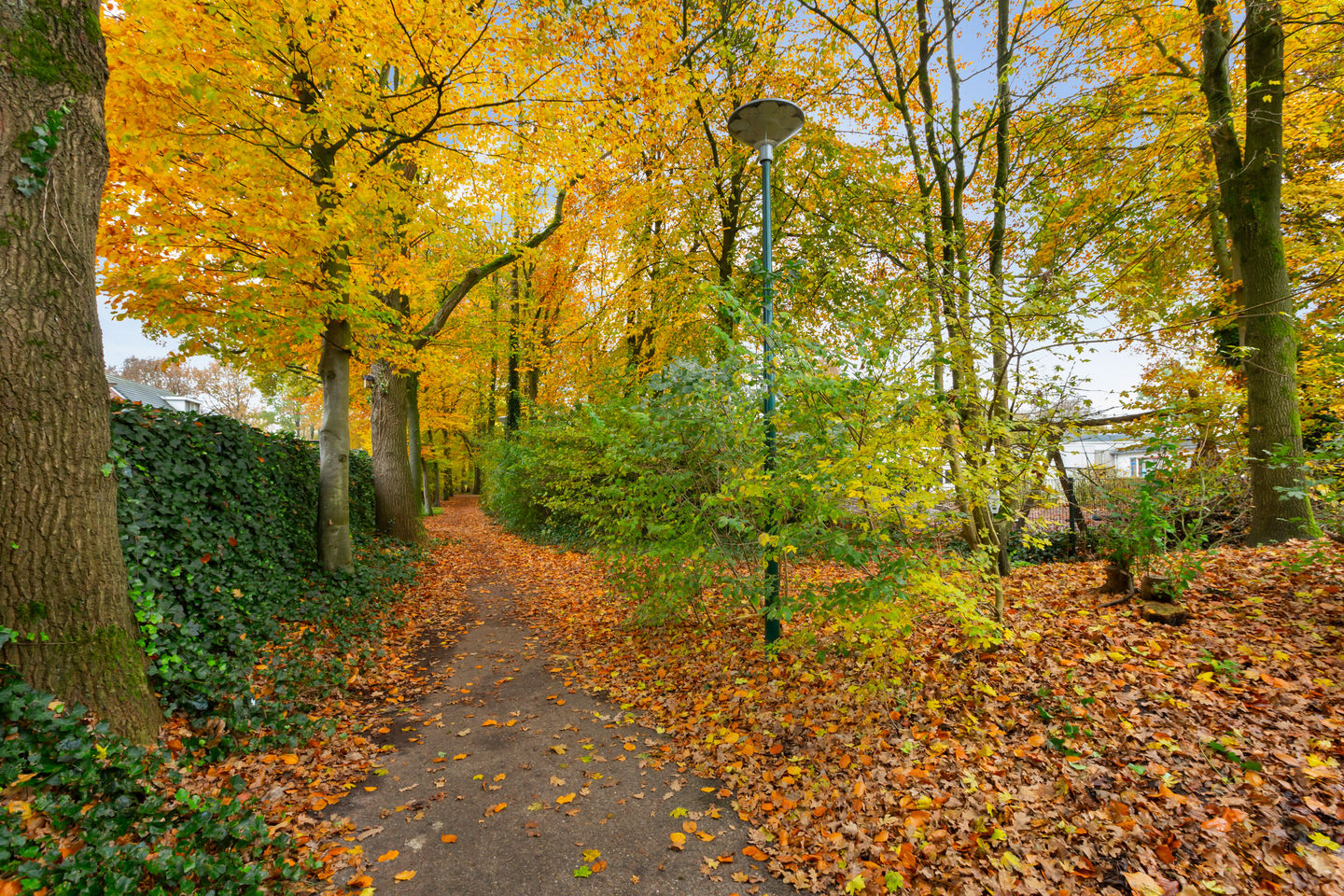 Foto 34 van Valeriaanstraat 193