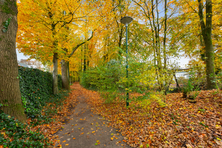 Foto 34 van Valeriaanstraat 193