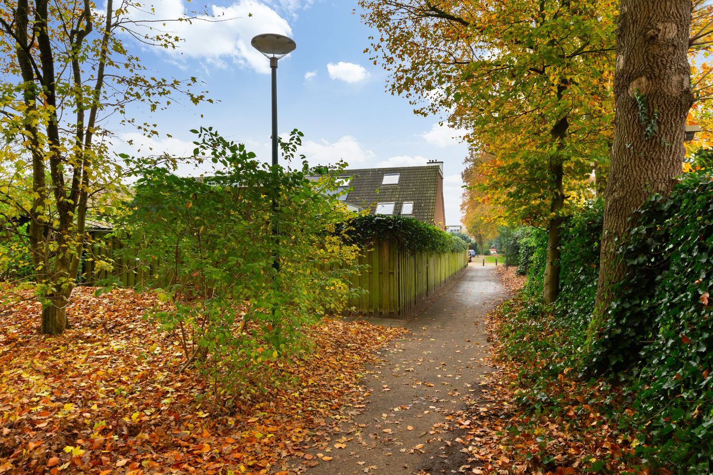 Foto 35 van Valeriaanstraat 193