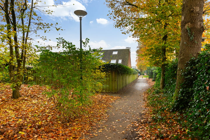 Foto 35 van Valeriaanstraat 193