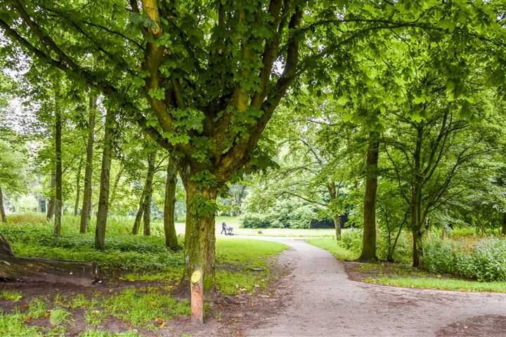 Bekijk foto 33 van Hoofdweg 305-3